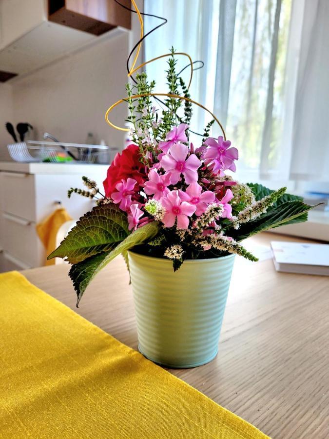 Apartment Sonnenschein Dornbirn Dış mekan fotoğraf